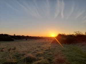 Sunrise