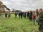 Working for Waders and Sharing with Neighbours