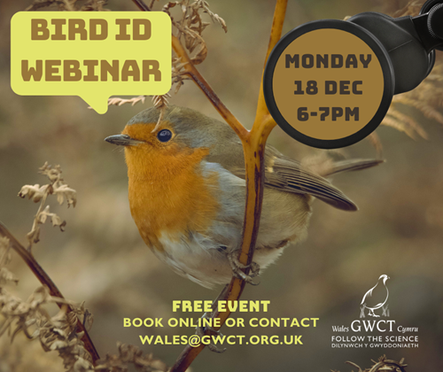 GWCT CYMRU - 202324 BIRD ID WEBINARS (fb)