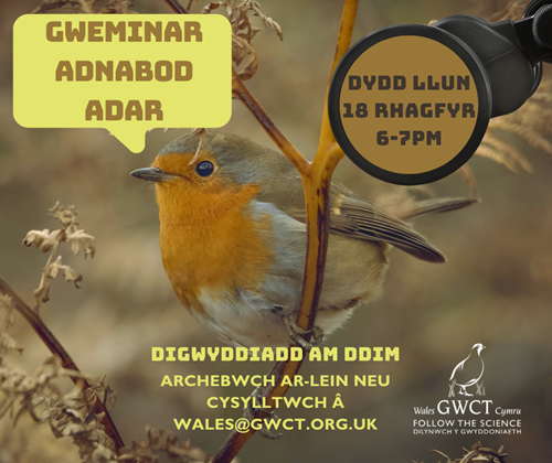 _GWCT CYMRU - 202324 BIRD ID WEBINARS (fb ) Cymraeg