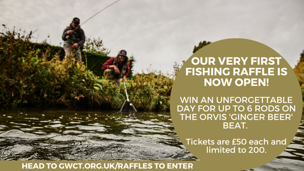 GWCT Fishing Raffle (X Post) GWCT Fishing Raffle (X Post)