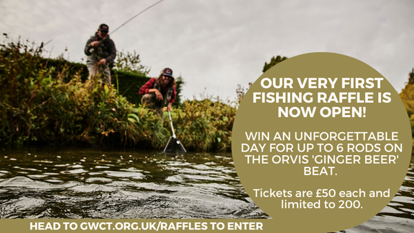 GWCT Fishing Raffle (X Post)