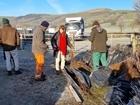 Peakland Environmental Farmers to plant 6km of new hedges this winter for nature and carbon capture