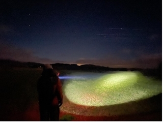 Auchnerran rabbit survey