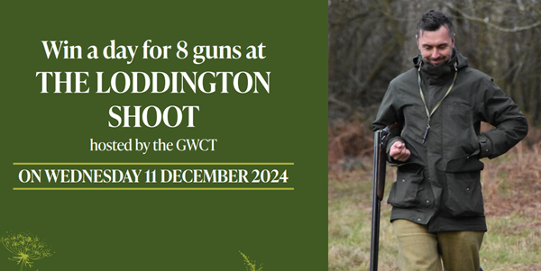 Loddington -shoot -draw