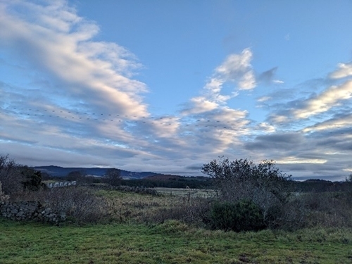 Auchnerran view (Isabella Allan)