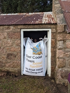 Kate behind a bag of grain