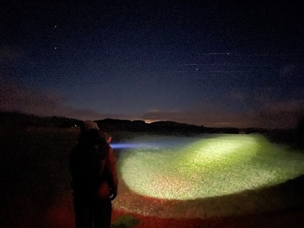 Rachael counting rabbits with a lamp