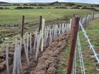 The National Lottery Heritage Fund will help Peakland Environmental Farmers (PEF) restore nature