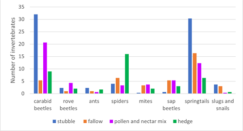 The assemblage of invertebrates that were found in four habitats at Leckerstone farm The assemblage of invertebrates that were found in four habitats at Leckerstone farm