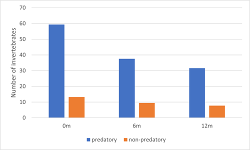 Average amounts of predatory and non-predatory invertebrates found at three different distances from the wildflower tramlines in a potato field at Balgonie farm