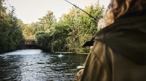 Orvis _zambuni _0972 Orvis _zambuni _0972