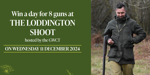 Loddington -shoot -draw Loddington -shoot -draw