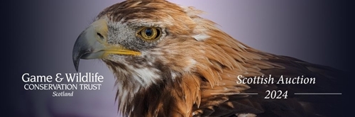 Scottish Auction Banner Scottish Auction Banner