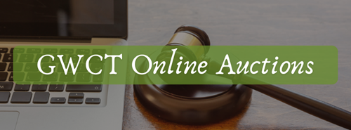 Online Auctions Header