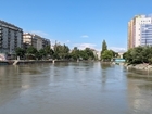 Trees, floods and climate change