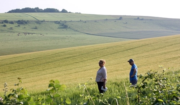 Julie Ewald On A Sussex Study Farm Julie Ewald On A Sussex Study Farm