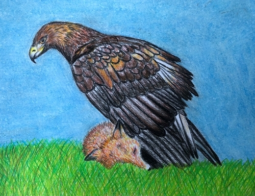 Eilidh Young , P7, Udny Green , Ab Eilidh Young , P7, Udny Green , Ab