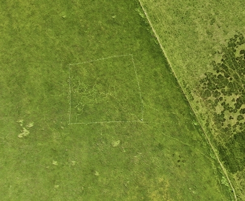 Curlew Nest And Trails With Electric Fence 3 Curlew Nest And Trails With Electric Fence 3