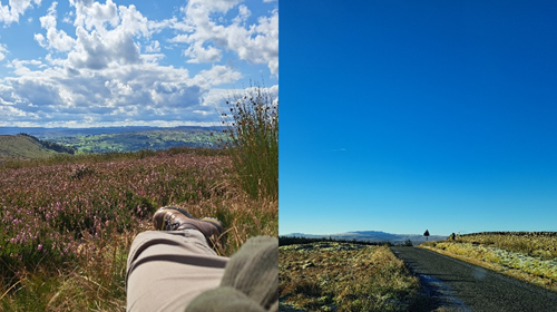 Placement Blog 1