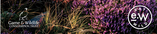 Header Banner Header Banner