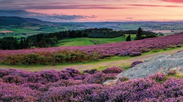 Moorland Moorland