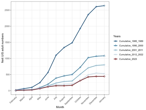 Salmon Coin Graph Salmon Coin Graph