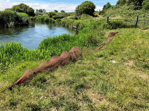 Eel Nets Small C .GWCT Eel Nets Small C .GWCT
