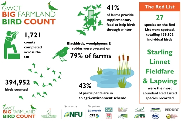Infographic 1