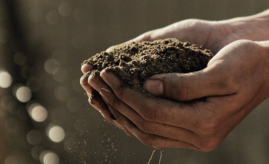 Soil Soil