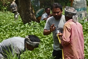 Farmers in India (Centre for Pollination Studies)