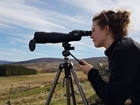 Where Birds Thrive: The power of surveys and best practice land management