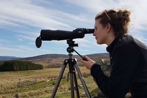 Marlies surveying
