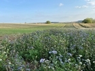 New EFG natural Knowledge Hub