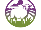 How much methane is released by upland sheep compared to a more commercial breed grazing in the Yorkshire Dales?