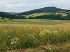New course created by GWCT to empower farmers and land managers seeking to improve biodiversity