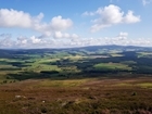 GWCT winds down Auchnerran tenancy after a decade of conservation success