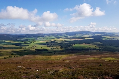 Auchnerran