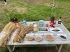 Open Farm Sunday