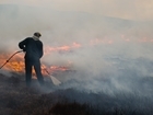 Muirburn Licences: Important Update