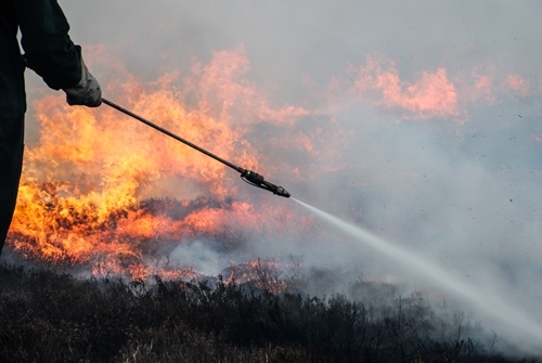 Muirburn (use)