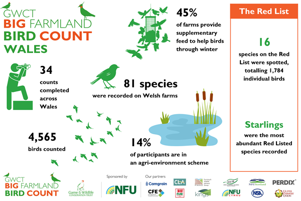 BFBC 2025 Wales BFBC 2025 Wales