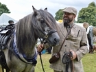 Tulchan of Glenisla Estate wins Fred Taylor Memorial Trophy for working hill ponies at GWCT Scottish Game Fair
