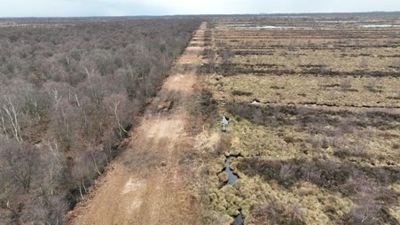 Fire control line at Humberhead Peatlands National Nature Reserve (Natural -England)