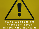 DEFRA issues new guidance in response to heightened risk of Avian Influenza