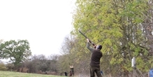GWCT Loddington Shoot Draw