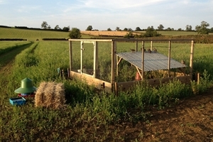 Redleg release pen