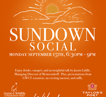 Sundown Social image