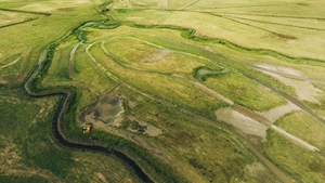 Norton Marshes