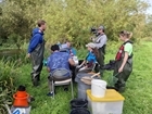 Collaboration is key to stop the extinction of wild Atlantic salmon